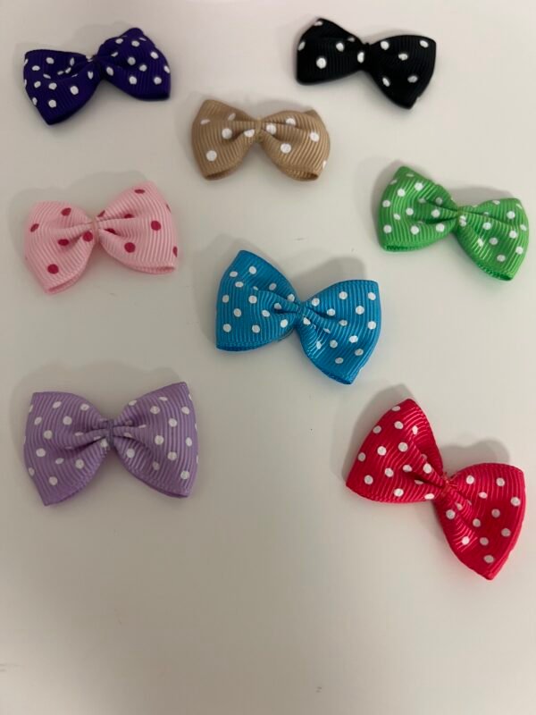 Nœuds papillon multi-couleurs à pois