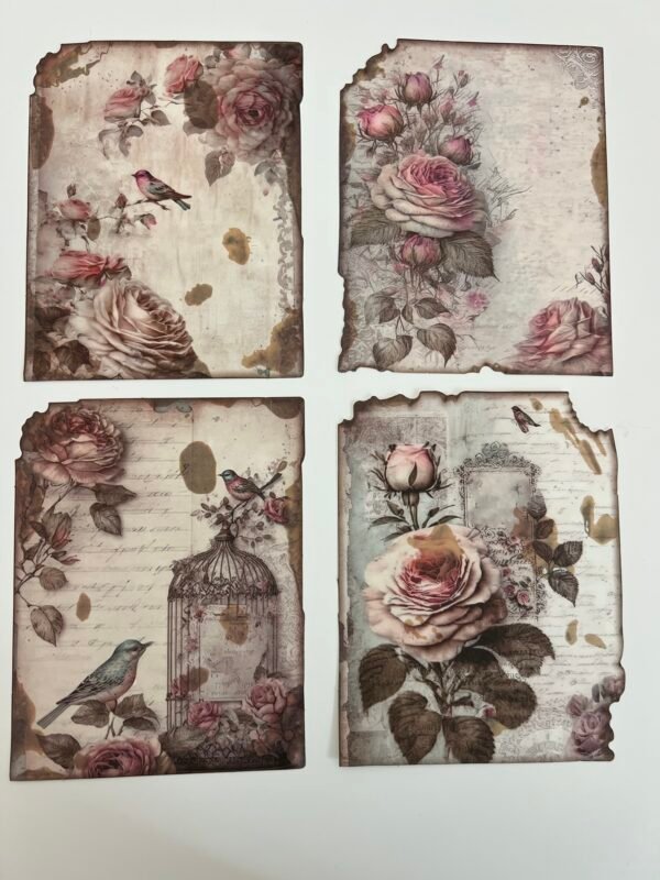 FEUILLES ROSE ROSE SHABBY – Image 3