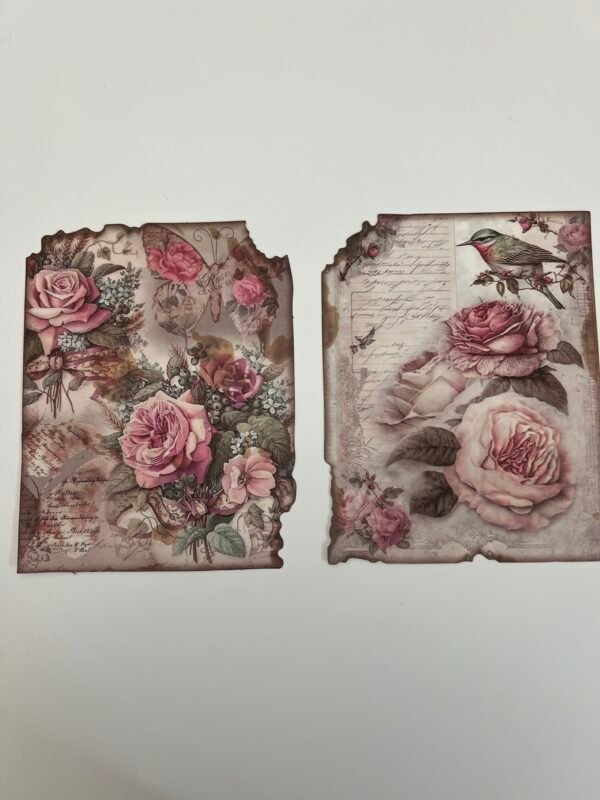 FEUILLES ROSE ROSE SHABBY – Image 4