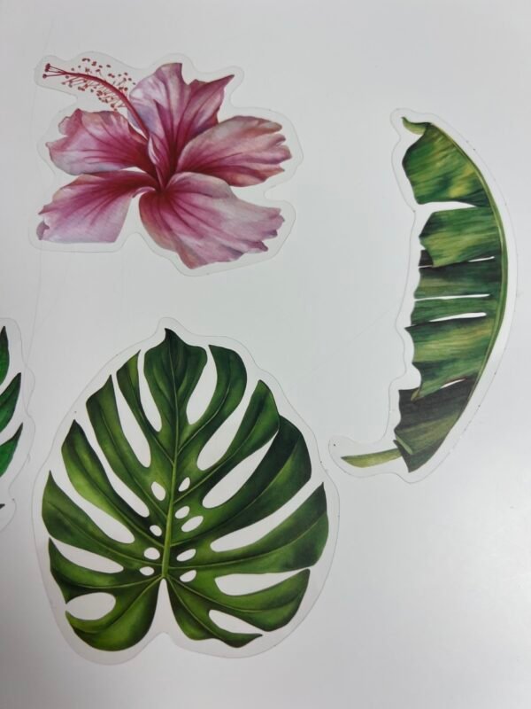 Grands stickers transparents tropicaux – Image 3