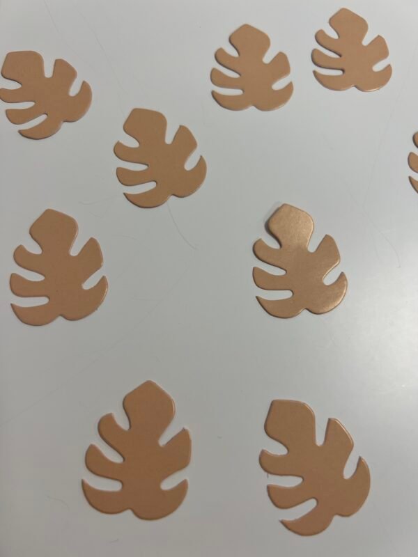 Dies cutes feuilles tropicales saumon – Image 2