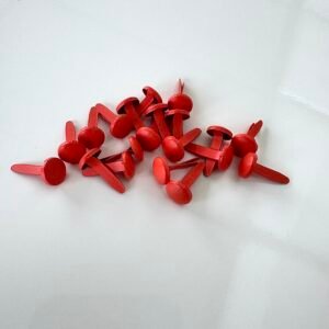 Attaches parisiennes grosses