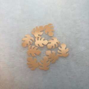 DIES CUTS TROPICALES SAUMON