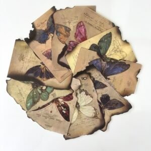 PAPIER 14X10 PAPILLON DÉCHIRÉ