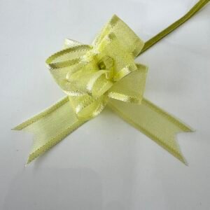 Embellissement nœud surprise vert anis