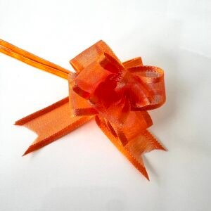 Embellissement nœud surprise orange